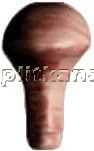 Vives Aranda angulo remate aldea burdeos Спецэлемент 5x1,5 см