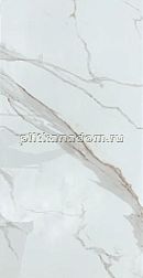 Vita Calacatta Белый Полированный Керамогранит 60x120 см