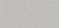 Zodiac Ceramica Prague Dark Digital Mould Серый Сатинированный Керамогранит 120x300 см