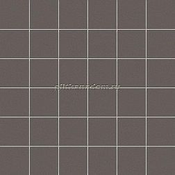Ce.Si Full Body Nickel Su Rete Мозаика 5х5 30х30 см