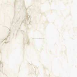 Coliseum Gres Michelangelo Ворм Керамогранит Рет 60х60 см