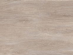 Cedar