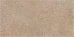 Grespania Pangea 44NG29R Tierra Коричневый Матовый Керамогранит 60х120 см