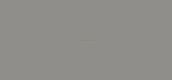 Zodiac Ceramica Diamond Pure Grey Fine Matt Серый Матовый Керамогранит 120x300 см