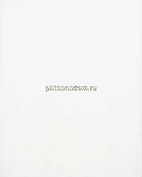 Tubadzin Monokolor Biala Mat Настенная плитка 25х36 см