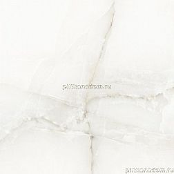 Absolut Gres Antique Grey Серый Полированный Керамогранит 60x60 см