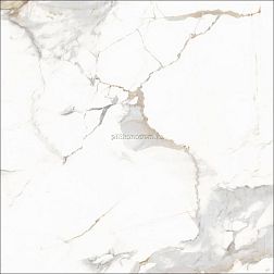 Staro Oasis Calacatta Blonde Polished Белый Полированный Керамогранит 60х60