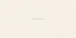 Neodom Design Colors N12041 Blossom Pure Matt Керамогранит 60x120 см