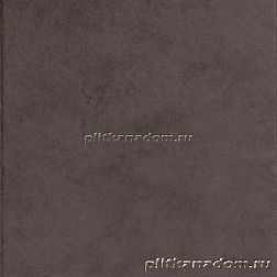 Rako Clay DAR63641 Brown Напольная плитка 60x60 см