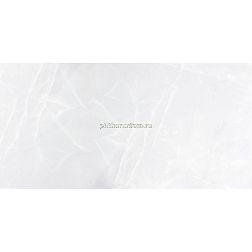 Monopole Onix Grey Серый Полированный Керамогранит 58,5x118,5 см