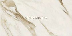 Versace Maximvs 67602 Calacatta Bright Nat R Бежевый Матовый Керамогранит 60х120 см