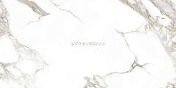 Goldis Tile Carrera A0ZS 000 J White Rect Белый Матовый Ректифицированный Керамогранит 59,7x119,8 см