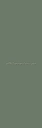 Paradyz Nightwish Green Зеленая Матовая Настенная плитка 25x75 см