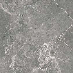 Сeramiche Ricchetti Marble Boutique Fior Bosco Lux Серый Полированный Керамогранит 59,4х59,4 см
