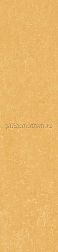 Simpolo Ceramics Spectra Scs Mustard Желтый Glossy Керамогранит 5,8х25 см