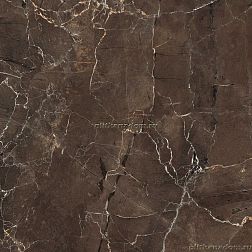 Mirage Jewels Emperador Selected JW05 Luc SQ Коричневый Полированный Керамогранит 60x60 см
