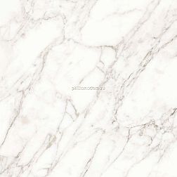 Ceradim Carrara Immense Белый Полированный Керамогранит 80х80 см