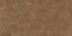 Global Tile Athena GT120606404PR Коричневый Керамогранит 60x120