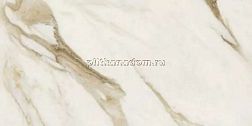 Versace Maximvs 67582 Calacatta Bright Lux R Бежевый Полированный Керамогранит 60х120 см