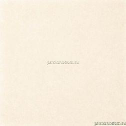 Paradyz Tero Beige Gres Polpoler Бежевая Полированная Напольная плитка 59,8x59,8 см