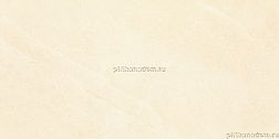 Paradyz Palazzo 412730 Настенная плитка 30x60 см