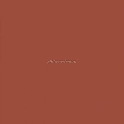 Nanda Tiles Kompas Rosset Red Керамогранит 20x20 см
