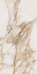 Ocean Ceramic Loyal Glossy Бежевый Полированный Керамогранит 60х120 см