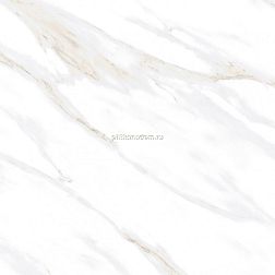 Ceradim Calacatta Clarity Gold Белый Полированный Керамогранит 80х80 см