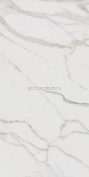 Идальго Граните Паллисандро Гриджио MR Серый Матовый Керамогранит 59,9х120 см