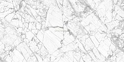 New Trend Everest 60120EVR00P Полированный Керамогранит Керамогранит 60x120