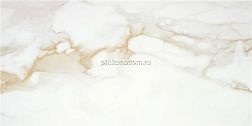 Stylnul (STN Ceramica) Camile Gold Rect Бежевый Глянцевый Ректифицированный Керамогранит 60х120 см