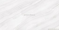 Staro Palacio Stelia Light Grey Polished Керамогранит 60x120