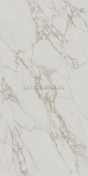 Kerama Marazzi Монте Тиберио SG593120R Серый светлый Матовый обрезной Керамогранит 119,5x238,5 см