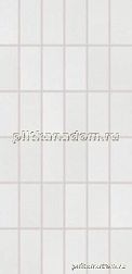 Rako Fashion DDMBG622 White Мозаика 5x10 30x60 см
