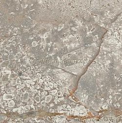 Atlas Concorde Russia Empire Silver Root Bottone (610090002383) см