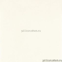 Paradyz Tero Bianco Gres Polpoler Белая Полированная Напольная плитка 59,8x59,8 см