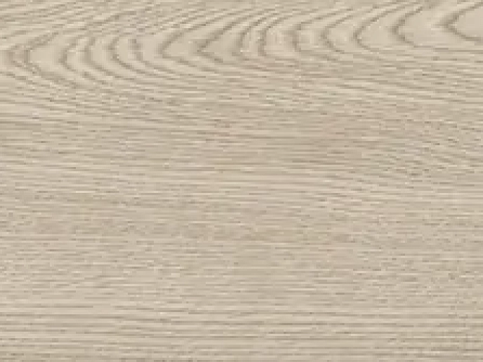 Bio